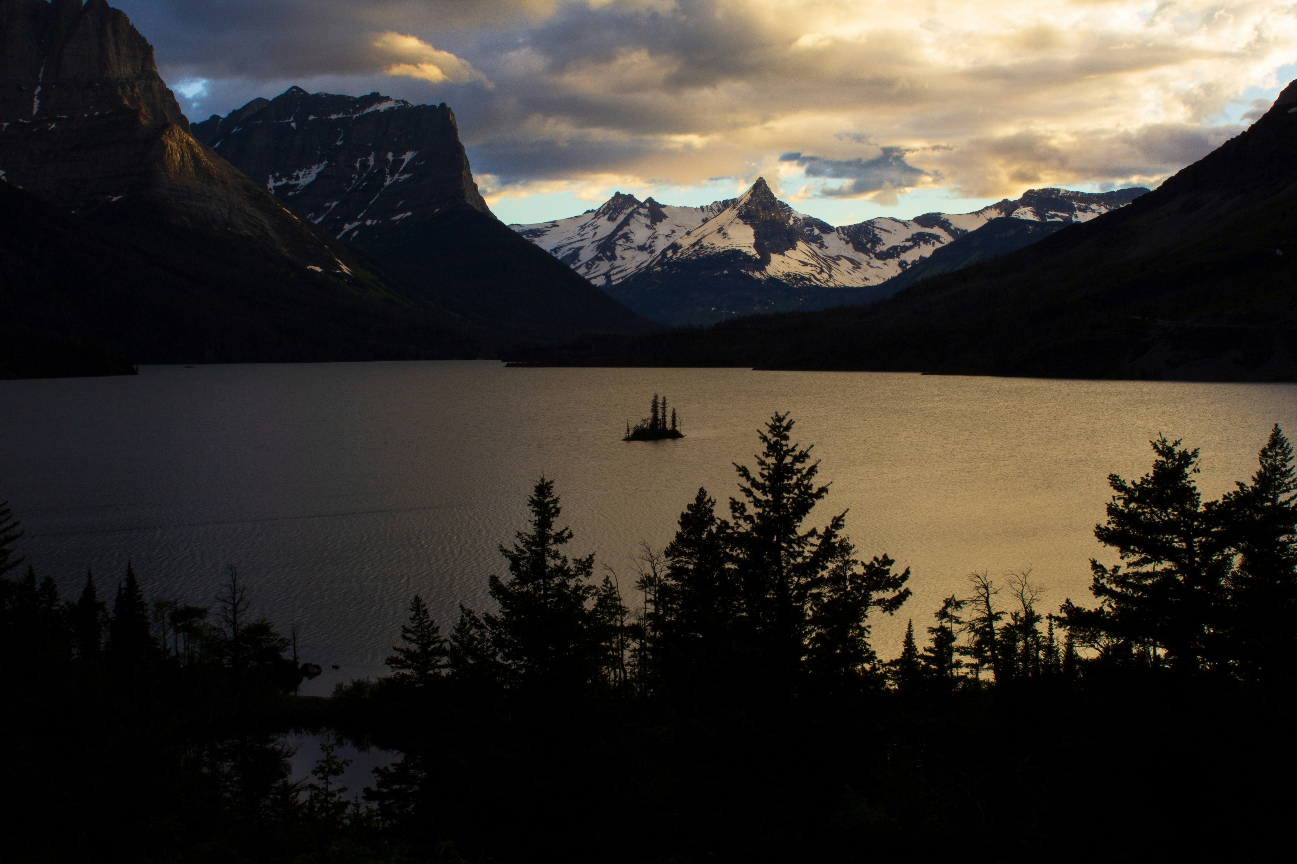 silhouette of trees near body of water and snowy mountains